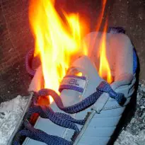 Animal skaters burn